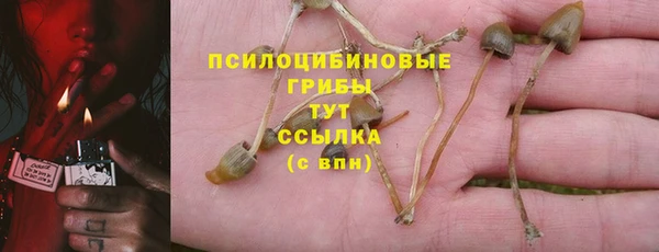 соль курить ск Переславль-Залесский