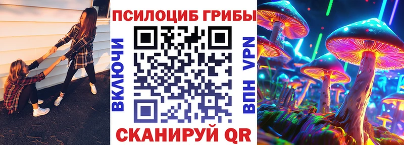 Псилоцибиновые грибы Cubensis  даркнет официальный сайт  Бавлы 