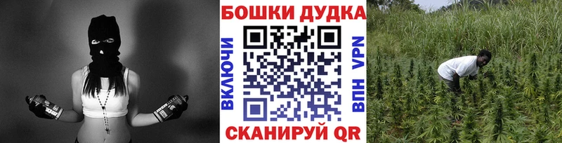 купить наркотики сайты  Бавлы  Марихуана тримм 